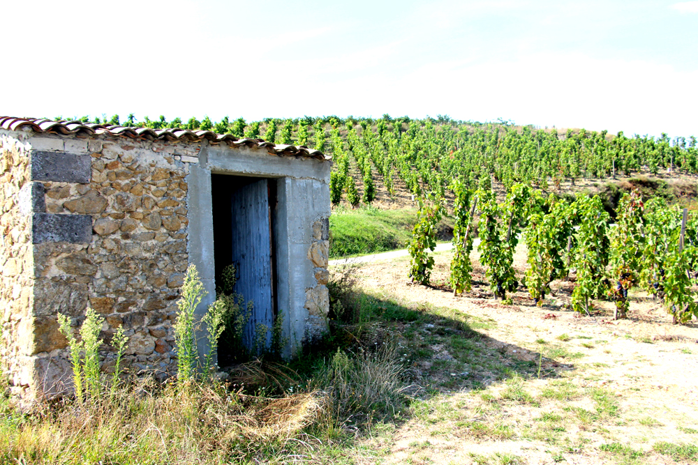 cabane ou maison de vigne