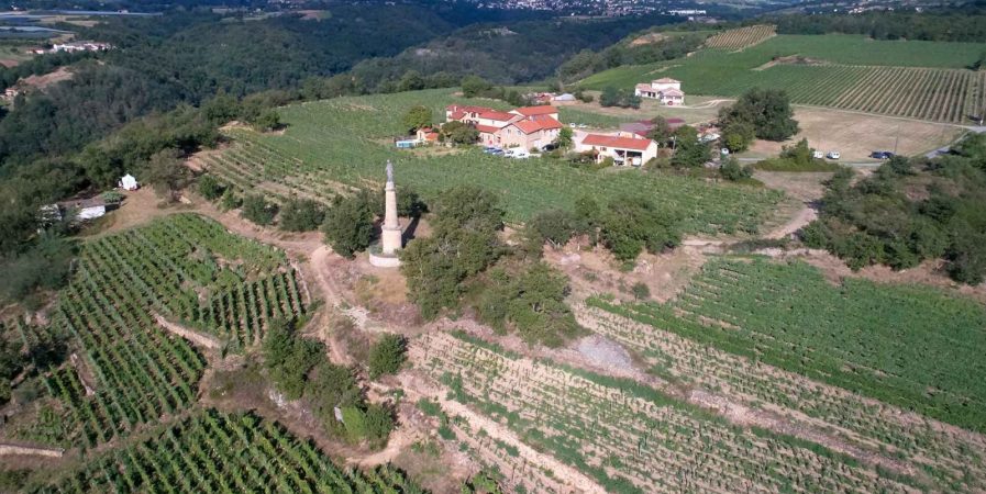 Rando Wine au Domaine Verzier – Spécial Trail