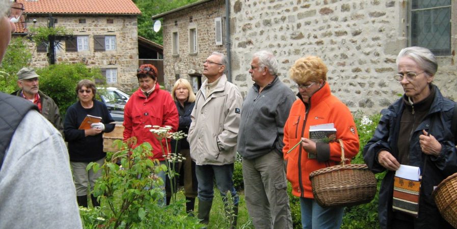 L’Automnal gourmand – Découverte et dégustation des herbes sauvages alimentaires