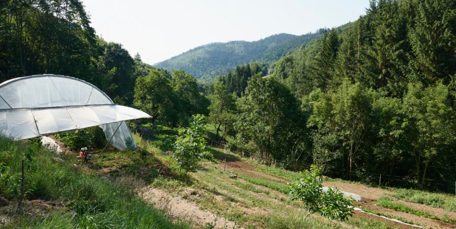 L’Automnal gourmand – Visite du jardin des Maisons Marcon