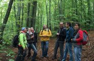 Découverte de la nature , randonnée , bain de forêt et bivouac