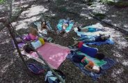 Découverte de la nature , randonnée , bain de forêt et bivouac