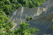 Découverte de la nature , randonnée , bain de forêt et bivouac