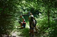 Découverte de la nature , randonnée , bain de forêt et bivouac