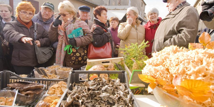 Foire des champignons -L’Automnal gourmand