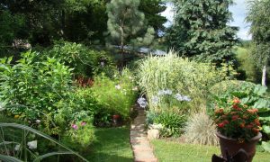 Les jardins du Bardon