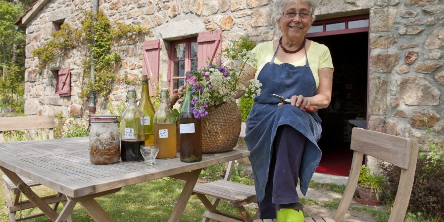 Découverte, cueillette et cuisine des herbes sauvages et dégustation