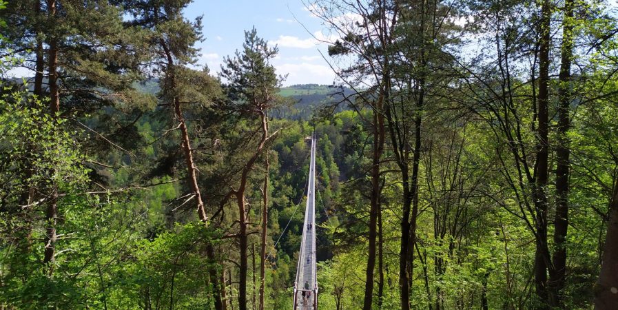 Passerelle des Gorges du Lignon