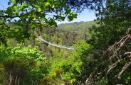 Passerelle des Gorges du Lignon