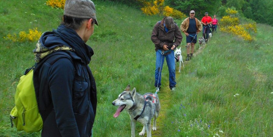 2023 – Bougez dans le Pilat – Cani-randonnée (à partir de 8 ans) – Marlhes