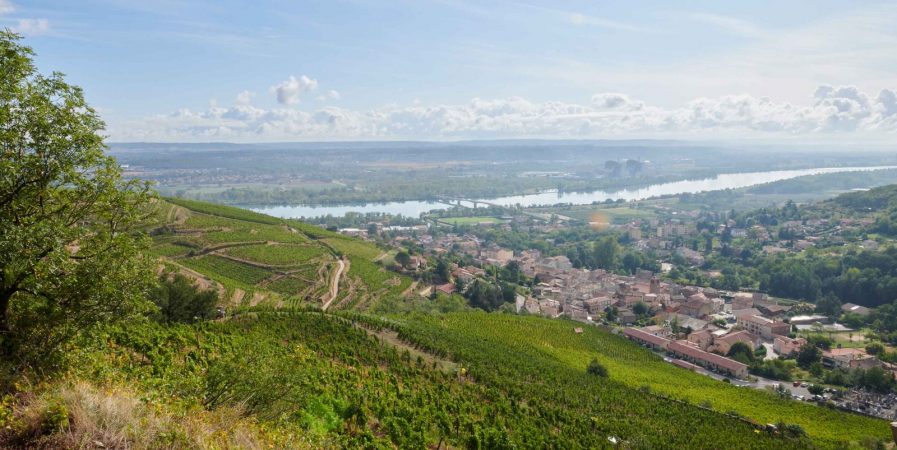 Wine Notes au Domaine Verzier