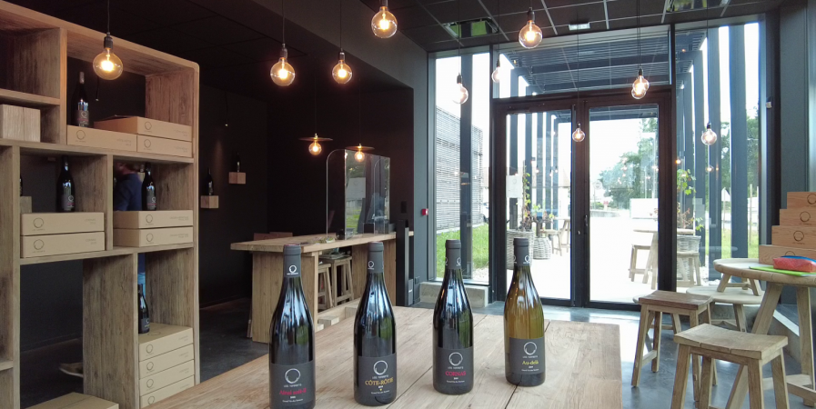 Brunch(di)vin au Domaine Les Terriens