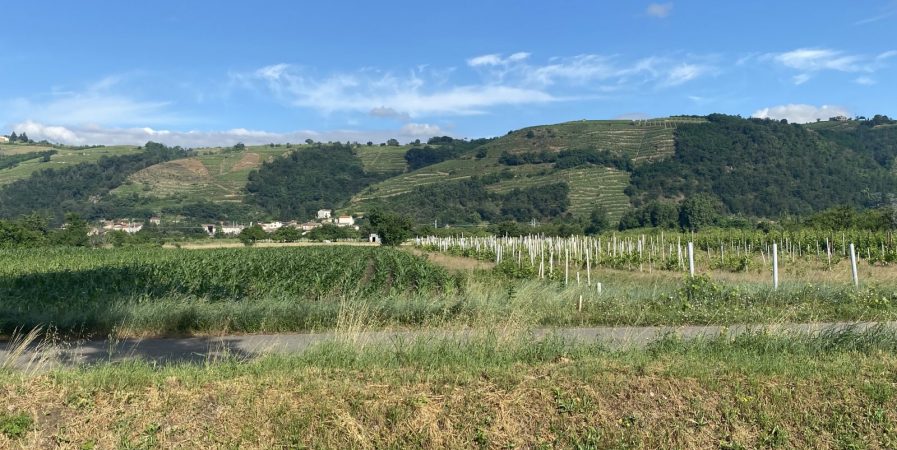 Rando Wine au Domaine Les Terriens