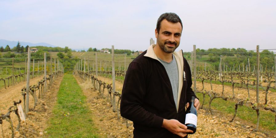 Wine Notes au Domaine Daniello