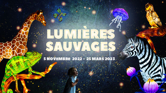 Festival Lumières Sauvages