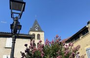 église