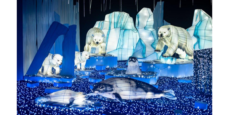 4ème Festival Lumières Sauvages