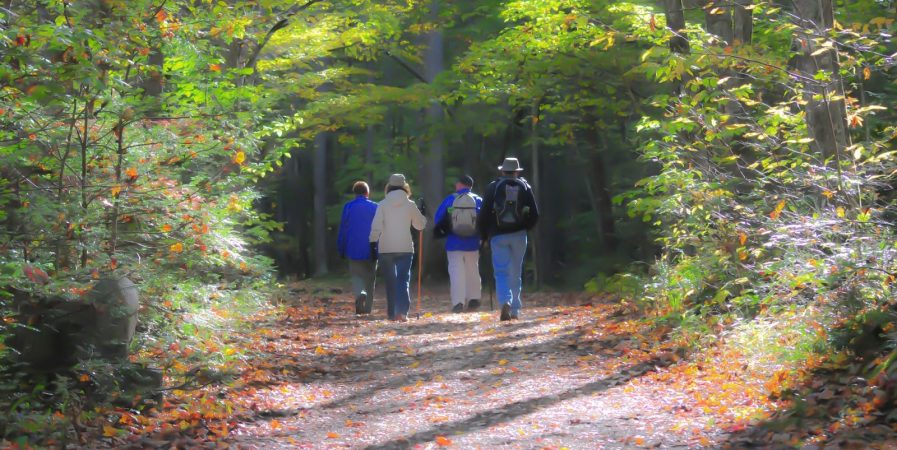 Journée caritative et Téléthon