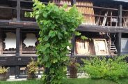16587752-diaporama