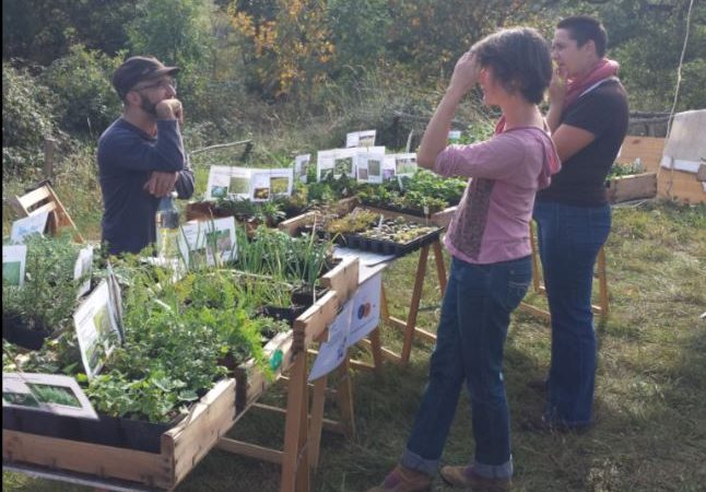 Vente de plants et Marché de producteurs – 6ème édition