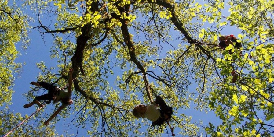 2023 – Bougez dans le Pilat – Grimpe d’arbres (à partir de 10 ans) – Doizieux