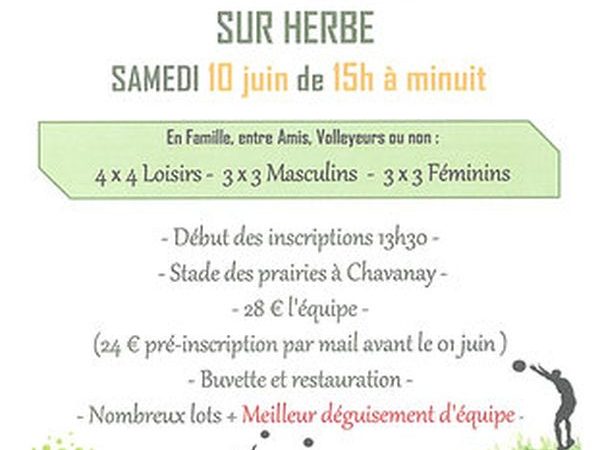 Tournoi de Volley sur herbe