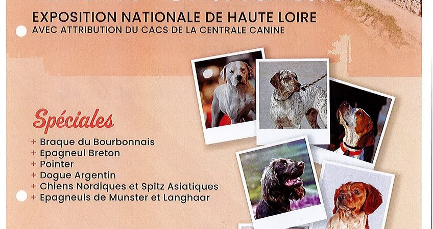Exposition Canine Nationale de Haute-Loire