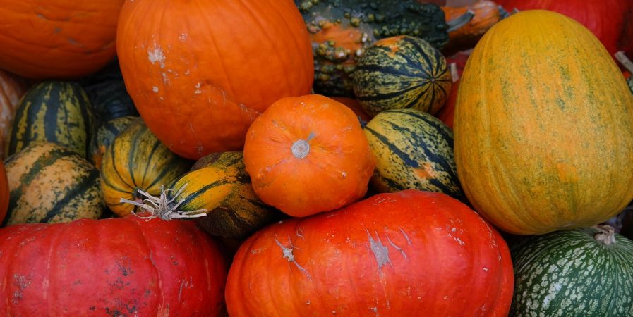 L’Automnal gourmand-Repas autour de la courge