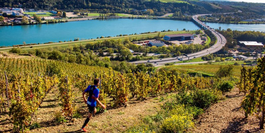 Trail en Côte-Rôtie