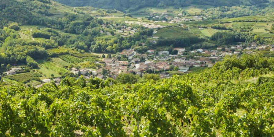 Rando wine à la Cave Saint-Désirat et au Domaine Grenier