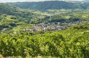 Brunch(di)vin au Domaine Grenier