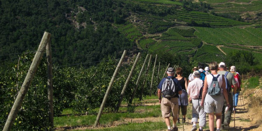 Echappée gourmande dans les vignes du Fascinant Week-End