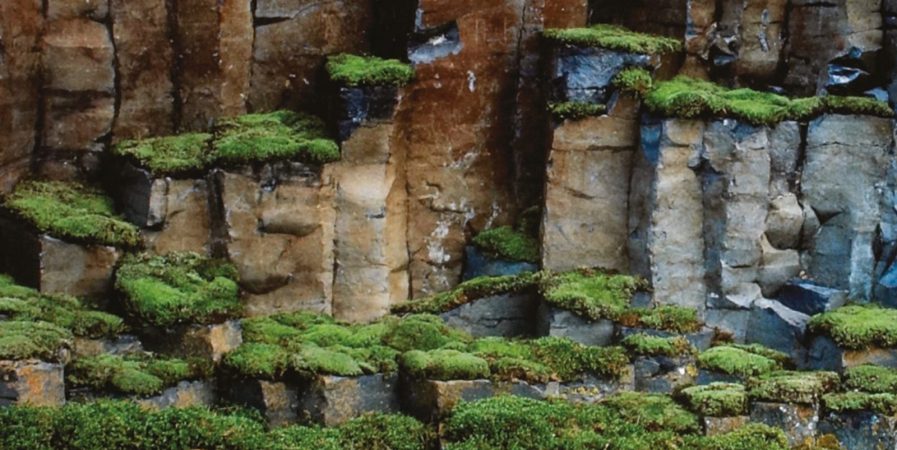 Exposition: La confusion des horizons