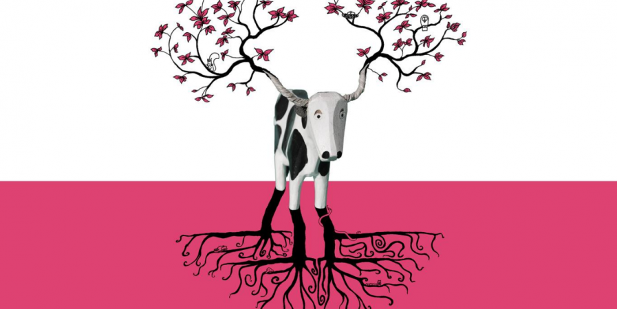 Festival Nuits de Rêve