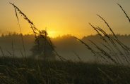 levé de soleil maison longue.jpg