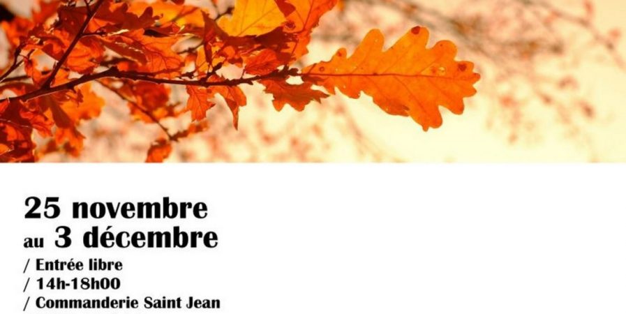 Salon d’Automne des Artistes du Velay 49è édition