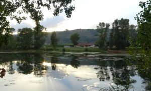 Vue sur l’étang