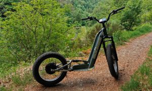 Trottinette électrique tout-terrain (batterie intégrée- bimoteur)