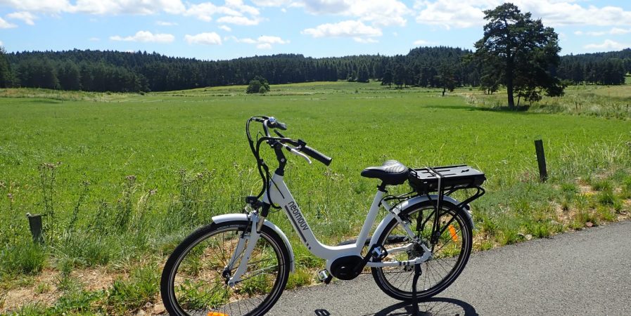 Location de VAE et vélo classique