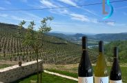 Domaine Lilian Bertrand