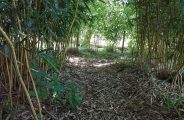 aire de Bivouhamac