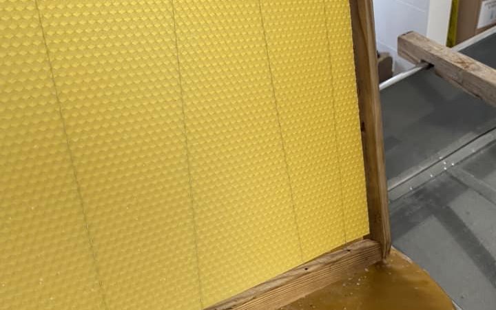 Le miel et les abeilles  (visite et dégustation)