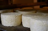 GAEC de l’Artisou Rosières