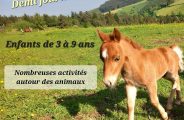 23699422-diaporama