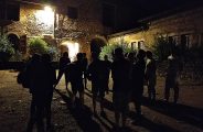 chartreuse nocturne