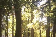 23823560-diaporama