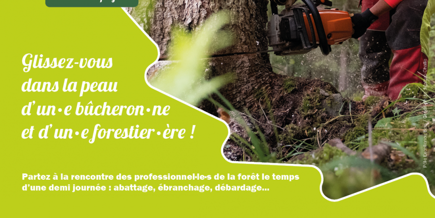 Vis ma vie de bûcheron