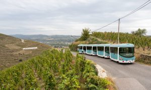 Côte-Rôtie Tour