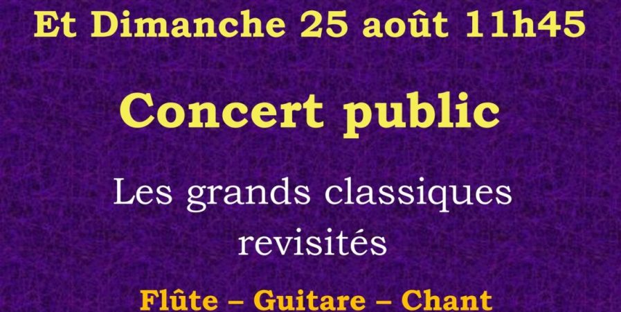 Concert Pierre Jean et Tristan