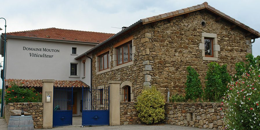 Dégustations et animations au Domaine Mouton